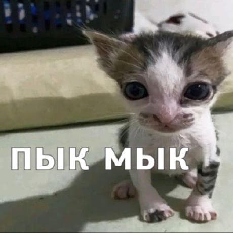 Лосева Екатерина